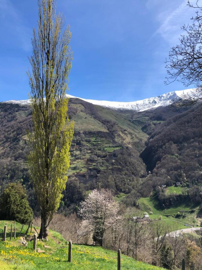 Maison De Montagne Borce Esterno foto